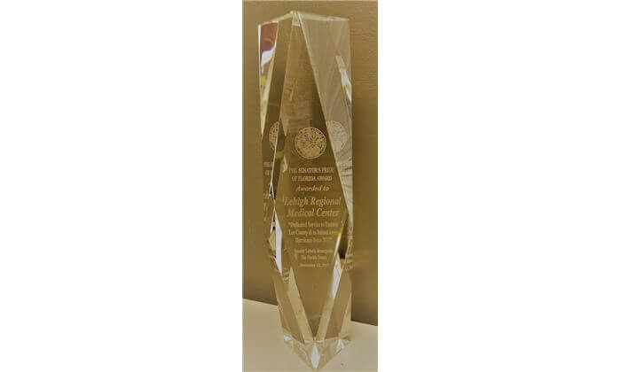 Senator-Lizbeth-Benacquisto-Award